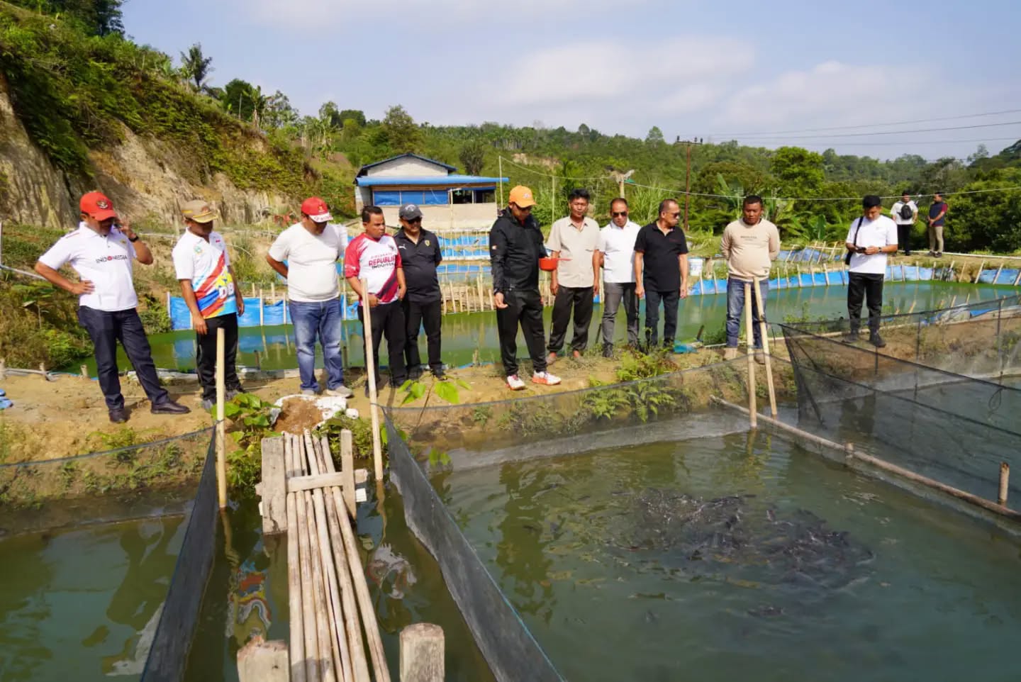 Bupati Taput Dorong Usaha Budidaya Lele Warga Garoga Berkembang