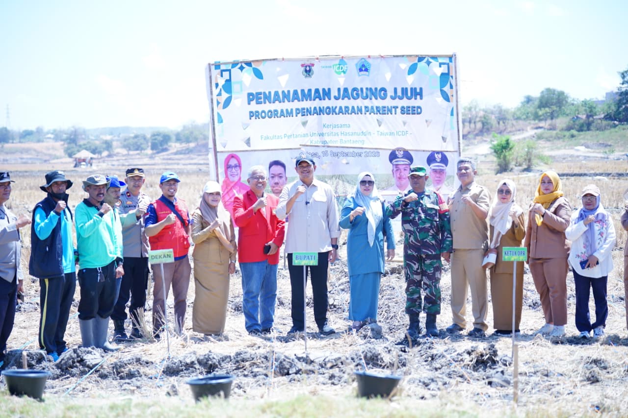 Menuju Swasembada Jagung, Bupati Bantaeng Bersama Unhas Tanam Jagung JJUH
