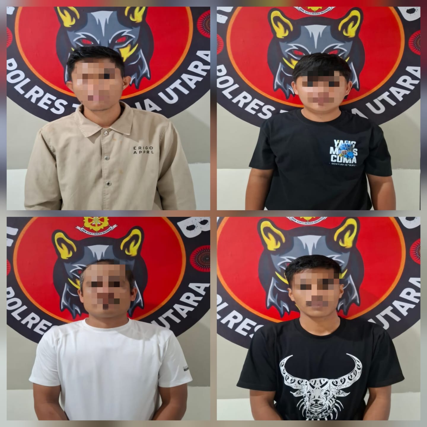 *Tim Resmob Polres Toraja Utara Kembali Amankan 4 Pria Terduga Pelaku Judi Adu Kerbau*