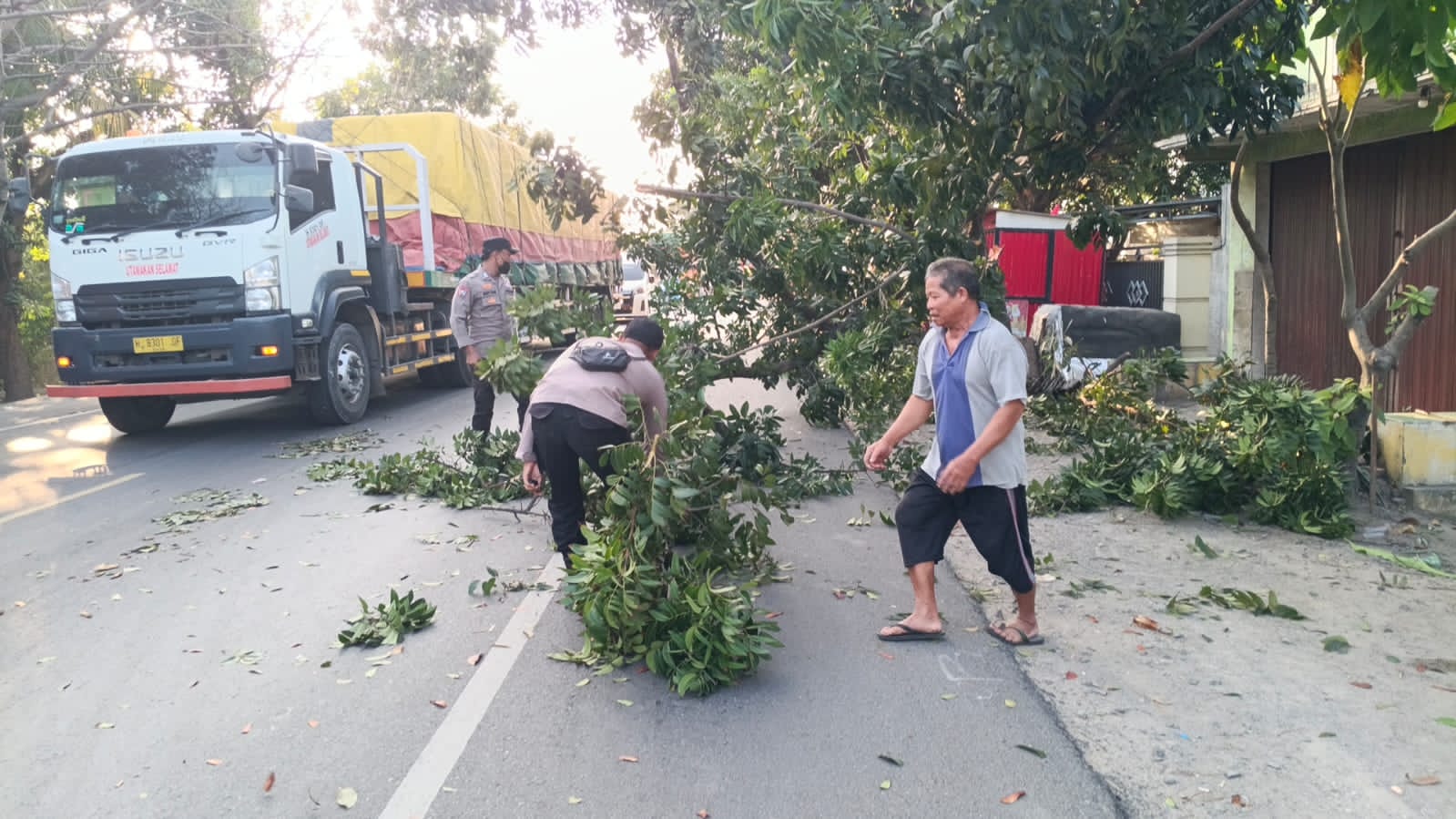 Polsek Kragan Gerak Cepat Evakuasi Pohon Tumbang di Jalan Nasional Desa Tegalmulyo