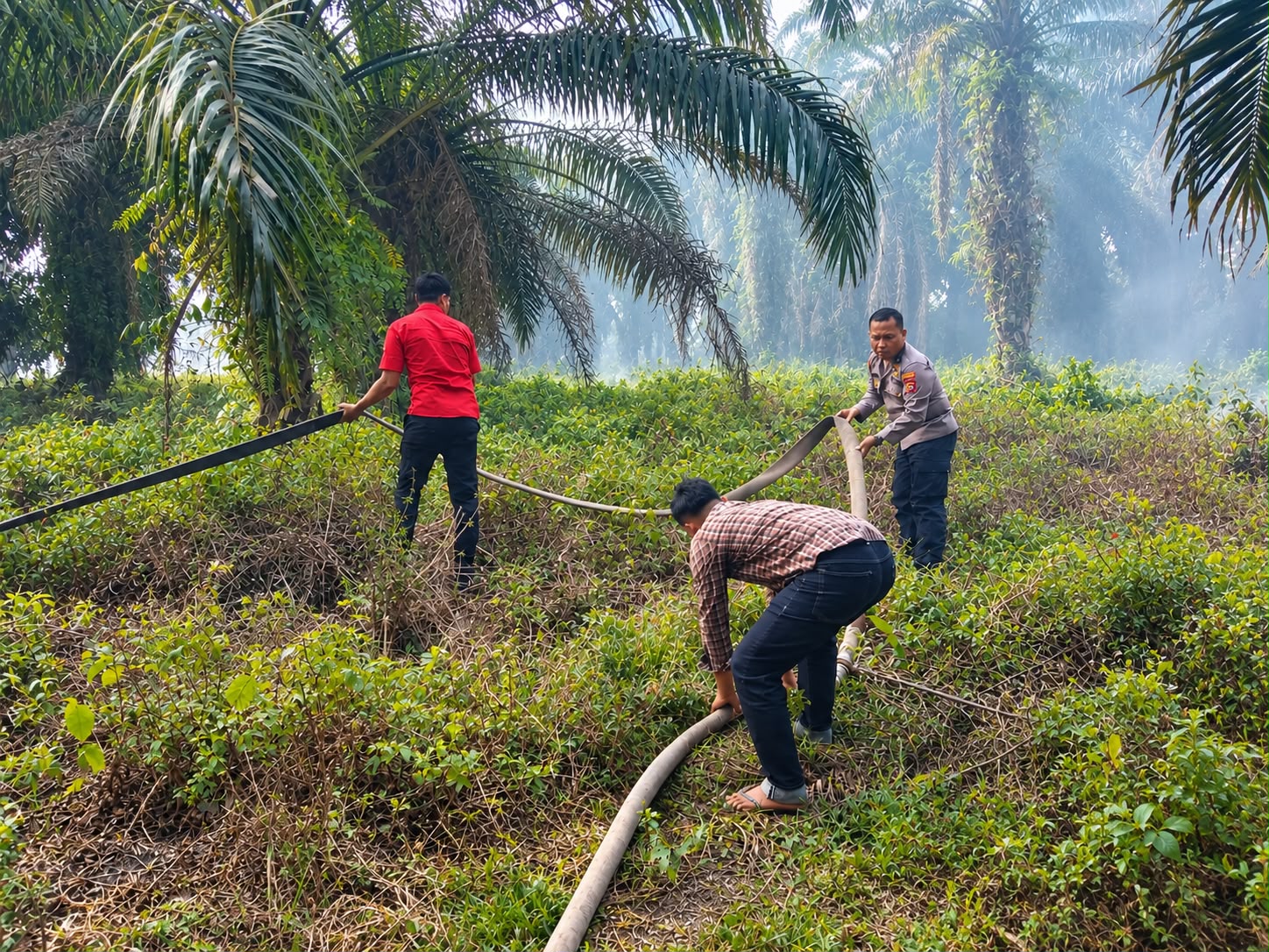 Respon Cepat polsek Sukaraja Padamkan Kebakaran Lahan Gambut Selamatkan Kebun Sawit warga